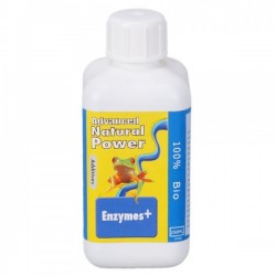 Enzymes+ 1L