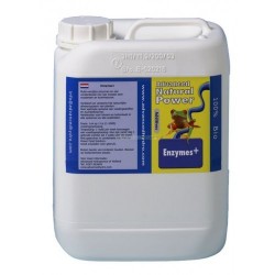 Enzymes+ 1L