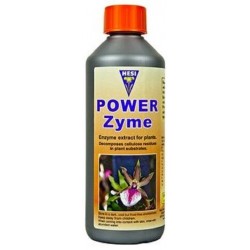 Hesi Power Zyme 500ML