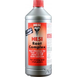 Hesi Root Complex 1L