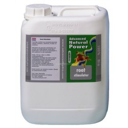Root Stimulator 1L