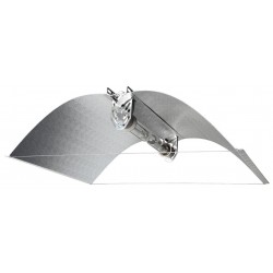 Azerwing Large Vega Green 95%  
