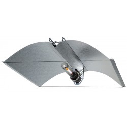 Azerwing Medium Vega Green 95%