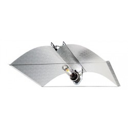 Azerwing Medium Vega Green 95%