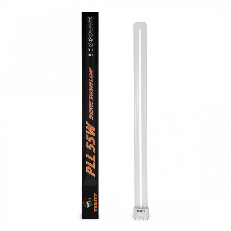 Trilite PLL 55W rast