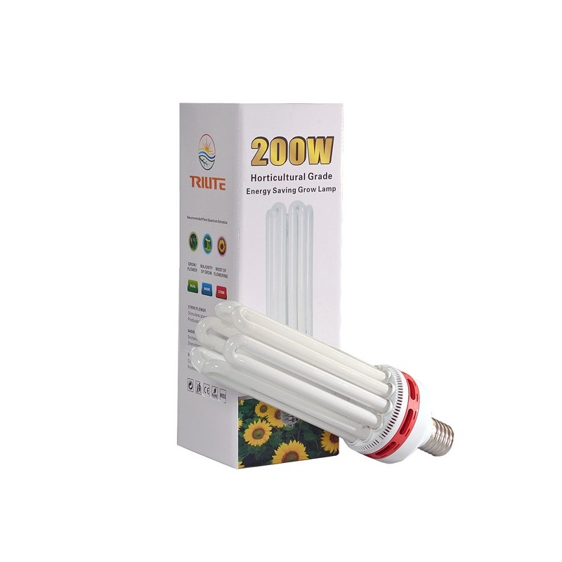 CFL 200W Dual