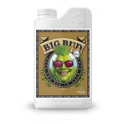 Big Bud Coco 1L