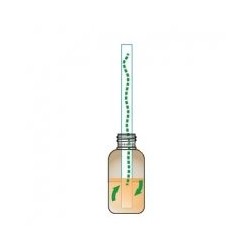 Magic Fresh 100ML