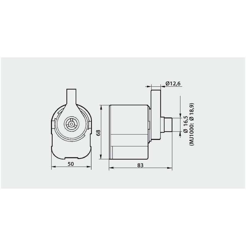 Potopna pumpa 1000 L Nutricultrure