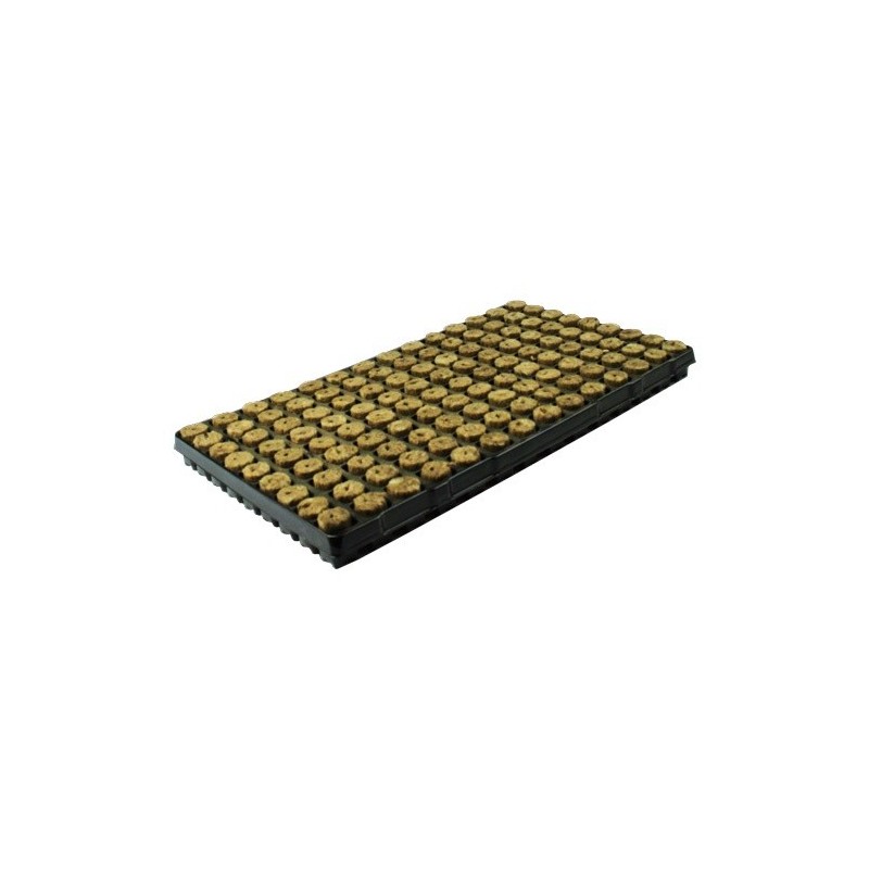 Pladenj 126 Speedgrow Green